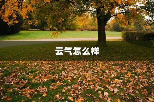 云气怎么样