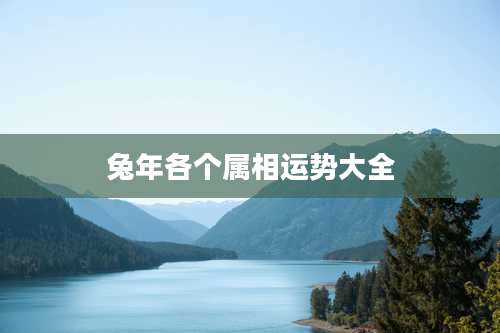 兔年各个属相运势大全