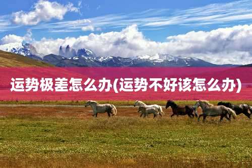 运势极差怎么办(运势不好该怎么办)