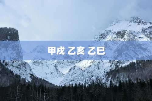 甲戌 乙亥 乙巳