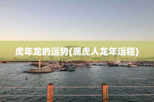 虎年龙的运势(属虎人龙年运程)