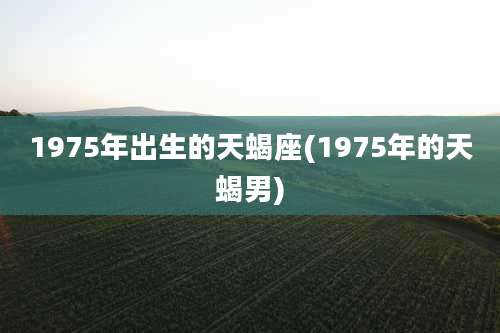1975年出生的天蝎座(1975年的天蝎男)