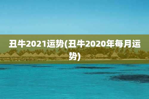 丑牛2021运势(丑牛2020年每月运势)