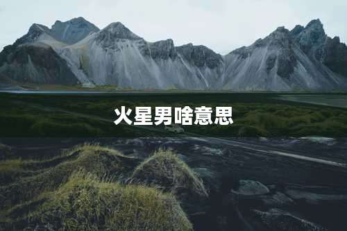 火星男啥意思