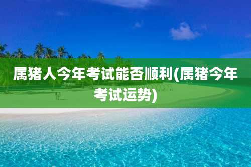 属猪人今年考试能否顺利(属猪今年考试运势)