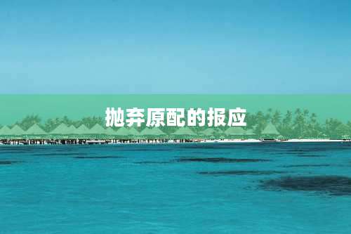 抛弃原配的报应