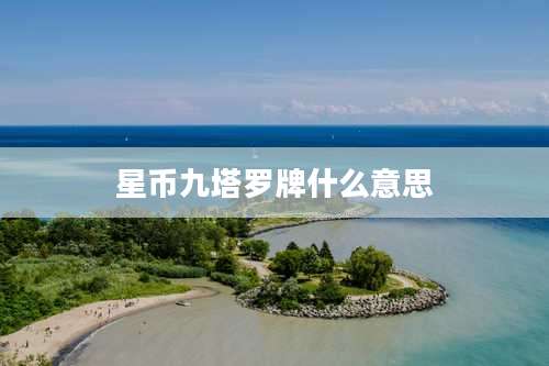 星币九塔罗牌什么意思
