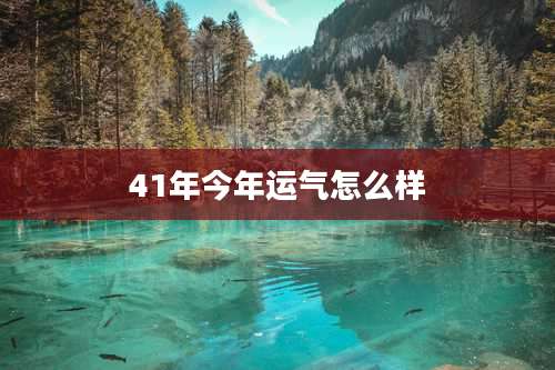 41年今年运气怎么样