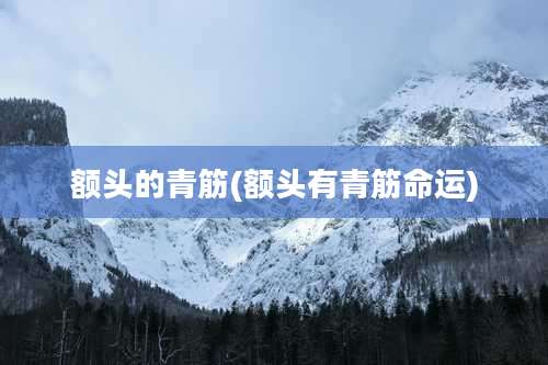 额头的青筋(额头有青筋命运)