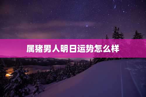 属猪男人明日运势怎么样