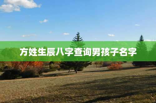 方姓生辰八字查询男孩子名字