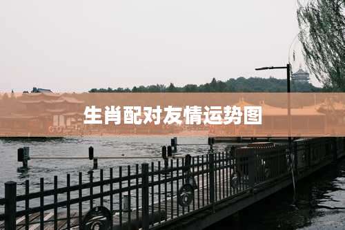 生肖配对友情运势图