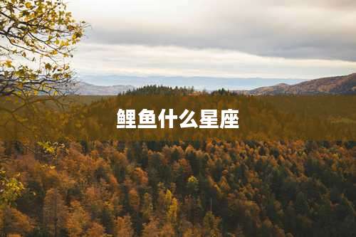 鲤鱼什么星座