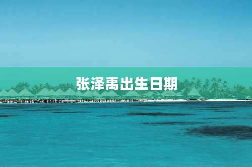 张泽禹出生日期