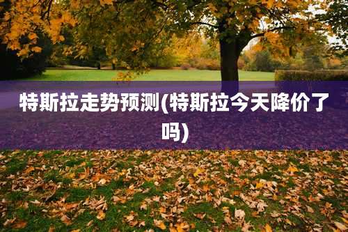 特斯拉走势预测(特斯拉今天降价了吗)