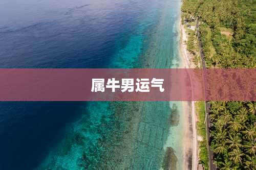 属牛男运气