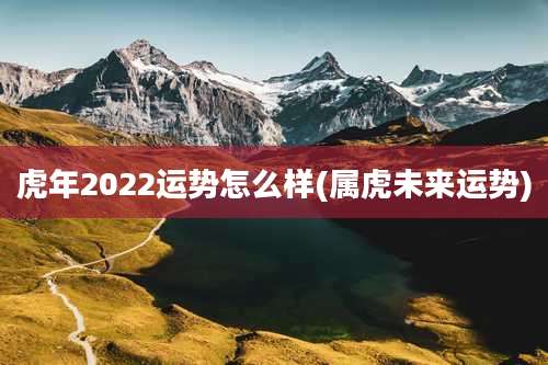 虎年2022运势怎么样(属虎未来运势)