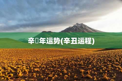 辛丒年运势(辛丑运程)