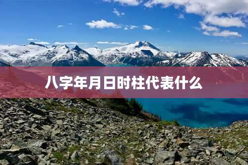 八字年月日时柱代表什么