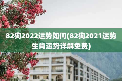82狗2022运势如何(82狗2021运势生肖运势详解免费)