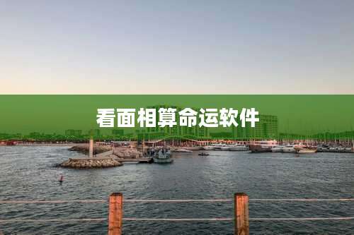 看面相算命运软件