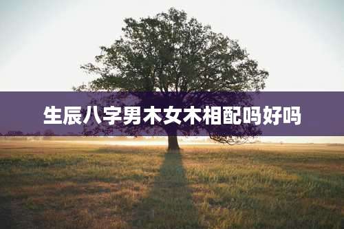 生辰八字男木女木相配吗好吗