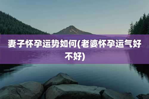 妻子怀孕运势如何(老婆怀孕运气好不好)