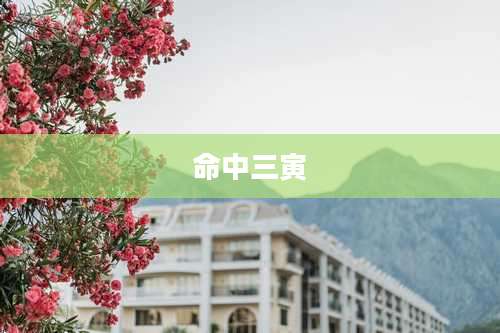 命中三寅