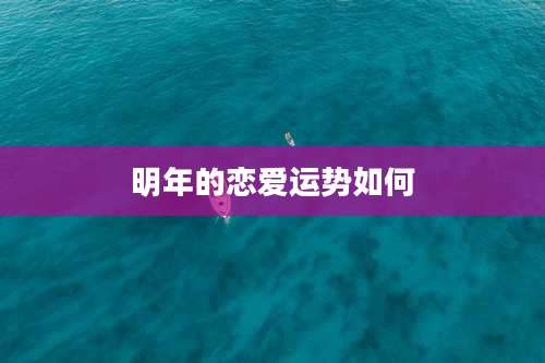 明年的恋爱运势如何