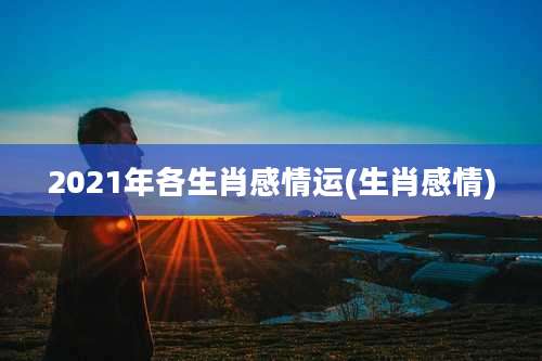 2021年各生肖感情运(生肖感情)
