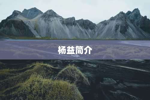杨益简介