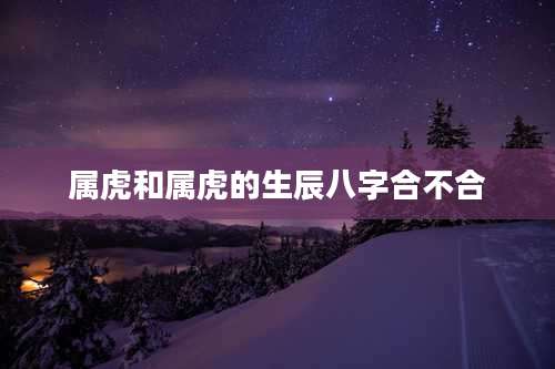 属虎和属虎的生辰八字合不合