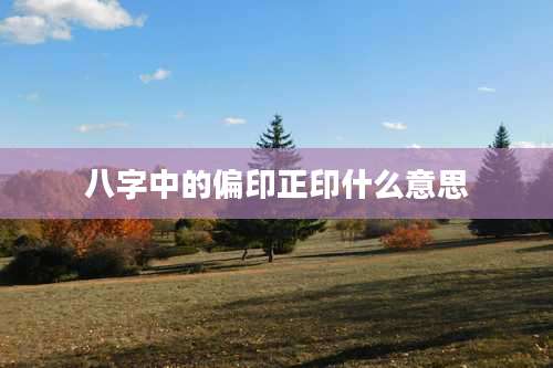 八字中的偏印正印什么意思