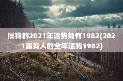 属狗的2021年运势如何1982(2021属狗人的全年运势1982)
