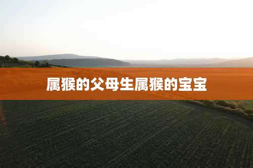 属猴的父母生属猴的宝宝