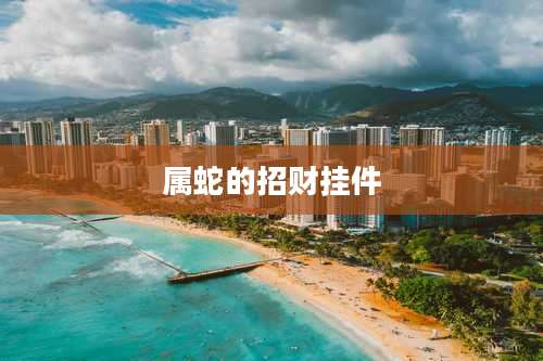 属蛇的招财挂件