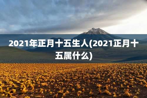 2021年正月十五生人(2021正月十五属什么)