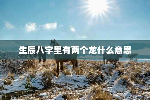 生辰八字里有两个龙什么意思