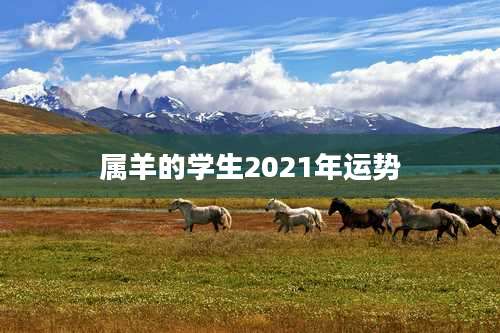 属羊的学生2021年运势