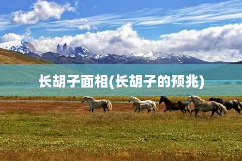 长胡子面相(长胡子的预兆)