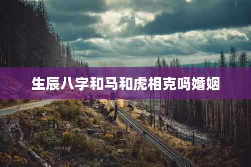 生辰八字和马和虎相克吗婚姻