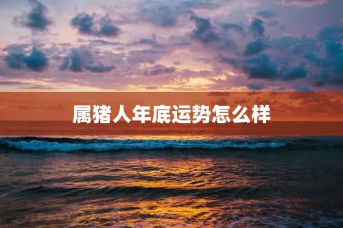 属猪人年底运势怎么样