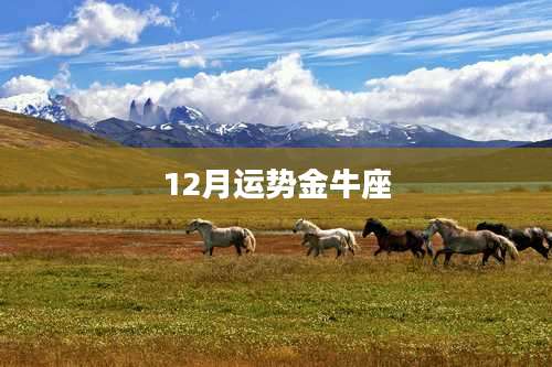 12月运势金牛座