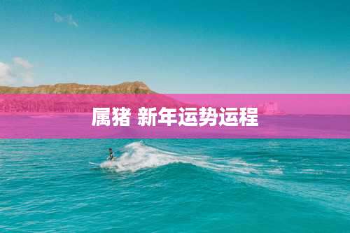 属猪 新年运势运程