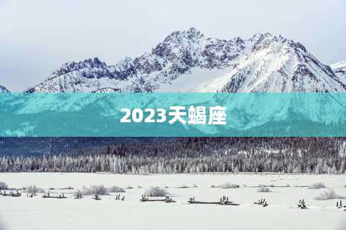 2023天蝎座