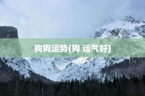 狗狗运势(狗 运气好)