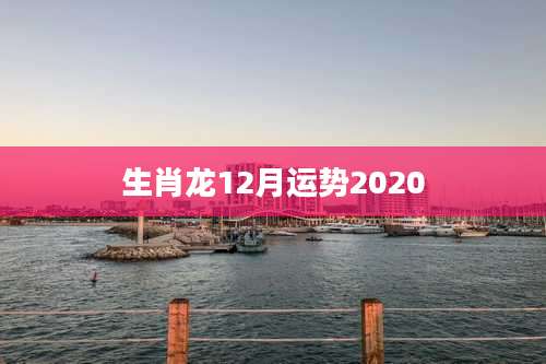 生肖龙12月运势2020