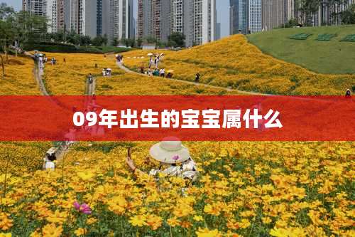 09年出生的宝宝属什么