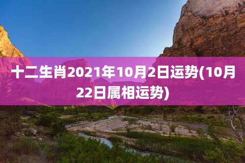 十二生肖2021年10月2日运势(10月22日属相运势)