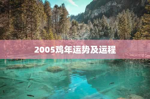 2005鸡年运势及运程